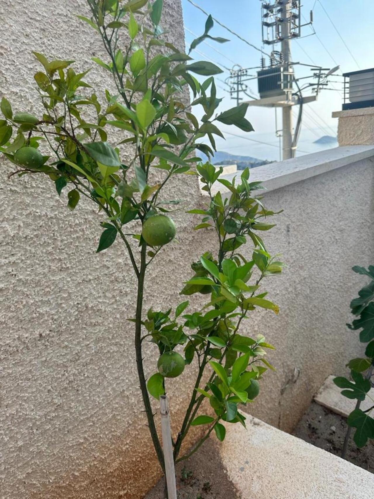 Kalkan Villa Beauty Honeymoon คาช ภายนอก รูปภาพ